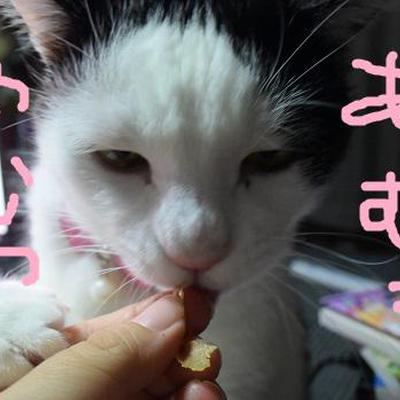 なんちゃって骨つき肉♪