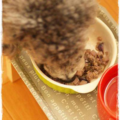 赤キャベツの豆乳リゾット 
