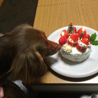 クリスマスケーキ
