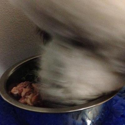 サツマイモのリゾット生肉添え♡