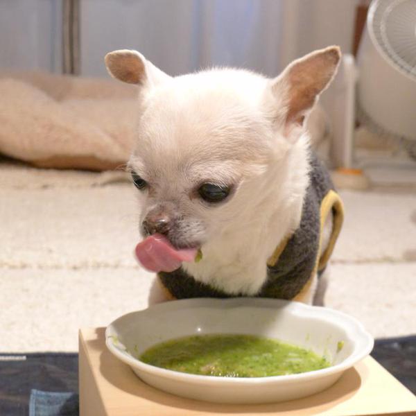 犬ご飯レシピ おくらの入った嚥下しやすいご飯 Byにょしちゃん No 1725 わんわんシェフ見習い中