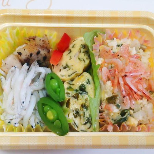 犬ご飯レシピ お花見ワン弁当 By茶々のかぁちゃん No 1730 わんわんシェフ見習い中