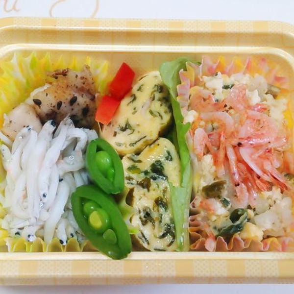 お花見ワン弁当♪