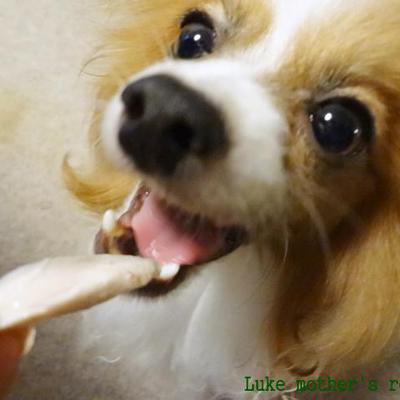 博多風水炊き～飼い主共有レシピ～