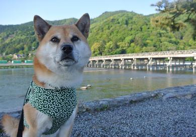 プロフィール写真