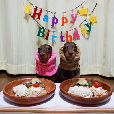 おろしそワンバーグディッシュ♪
