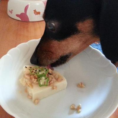 自家製ひよこ豆とうふの冷やっこ