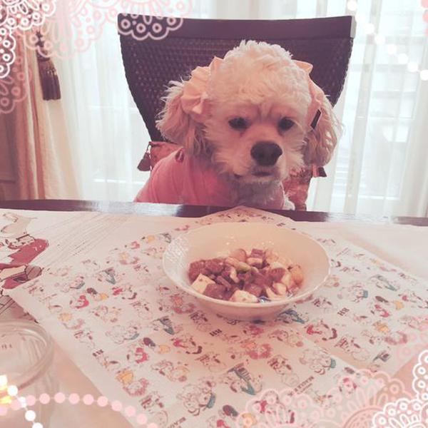 犬ご飯レシピ 豆腐と鴨肉のスープ Bysiva わんわんシェフ見習い中