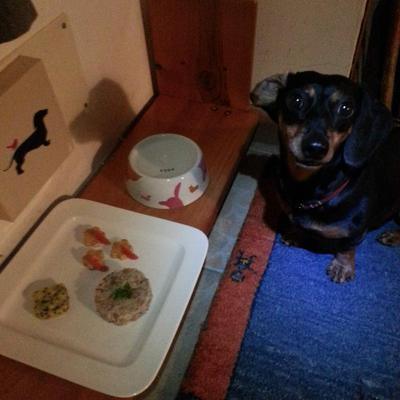 特別な日　ワンぷれーとごはん