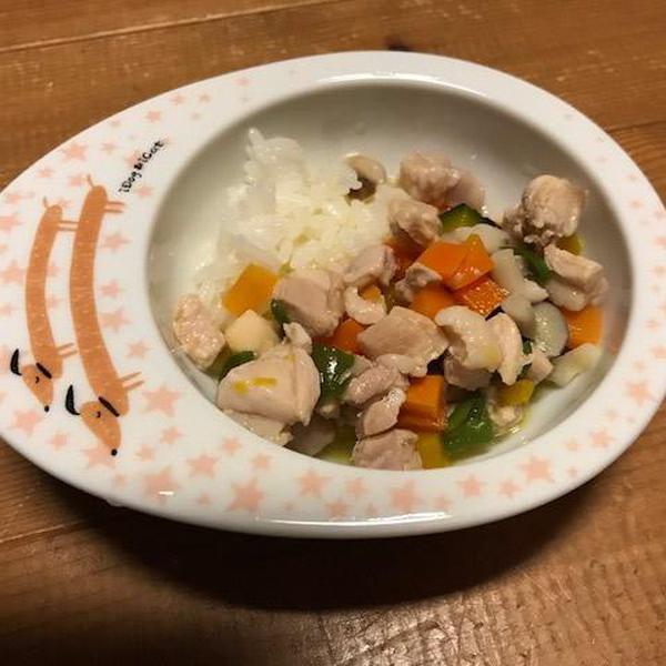 鶏肉とかぼちゃのスープごはん