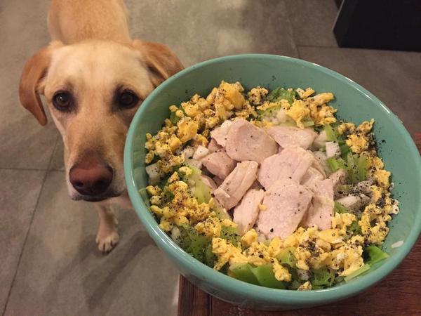 犬ご飯レシピ ごま油香る焼きビーフン Byコナヴァニ No 13 わんわんシェフ見習い中