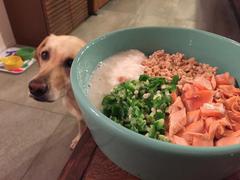 ねばねばスタミナ丼