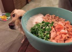 犬の手作りご飯レシピの専門サイト | わんわんシェフ見習い中