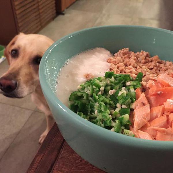 犬ご飯レシピ ねばねばスタミナ丼 Byコナヴァニ No 1813 わんわんシェフ見習い中