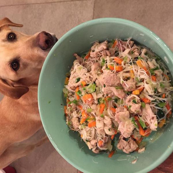 犬ご飯レシピ ごま油香る焼きビーフン Byコナヴァニ わんわんシェフ見習い中