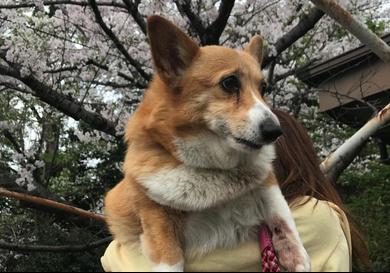 プロフィール写真