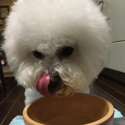 馬肉の生ハンバーグ