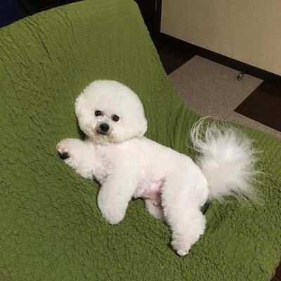 牛と馬のユッケ
