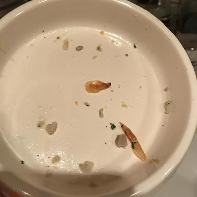 嫌いなものを詰め込みバーグ