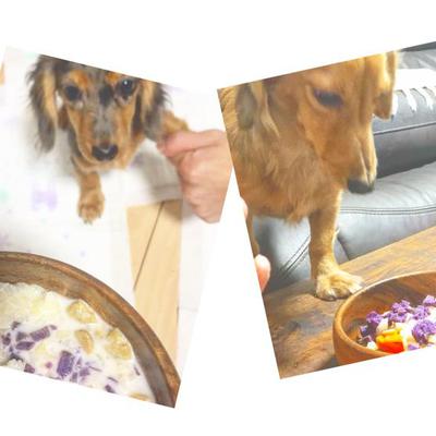 彩りご飯