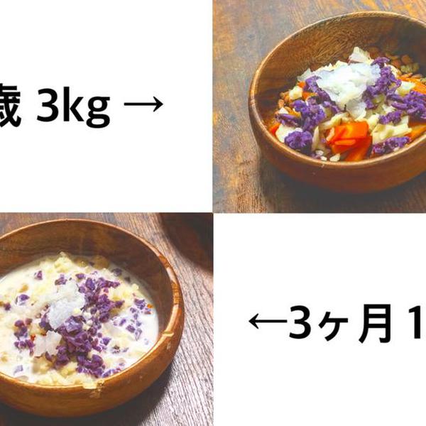 彩りご飯