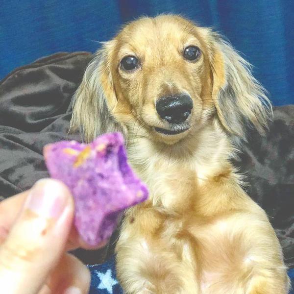 犬ご飯レシピ 猫も人間も食べれるお芋クッキー Byy わんわんシェフ見習い中