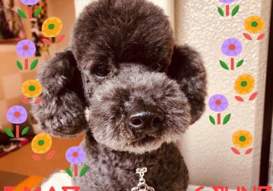 プロフィール写真