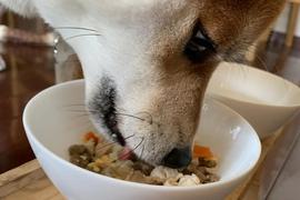 鶏肉リゾット凄い勢いで完食したよ。こんなに喜んでくれるなら作るのが楽しみです。