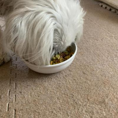 炭水化物メインご飯