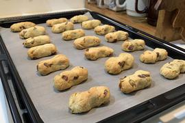 噛みごたえがあってゆっくり食べてくれます！！人間が食べてもほんのり甘くて美味しい