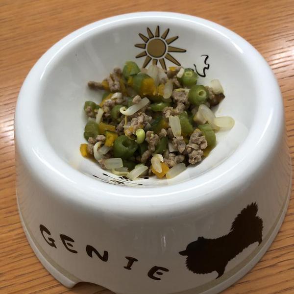 インゲンたっぷり旨旨煮