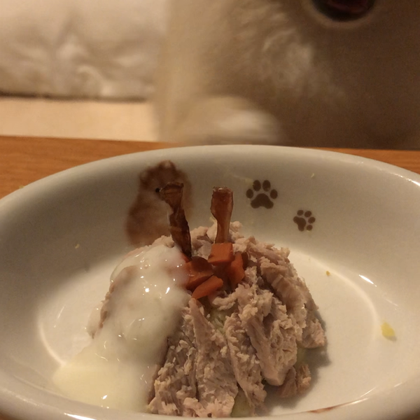 犬ご飯レシピ お誕生日おめでとう Bygenie No 1946 わんわんシェフ見習い中