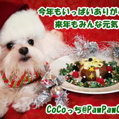 わんこクリスマスケーキ2020