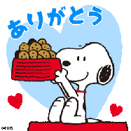 わんシェフ2990090