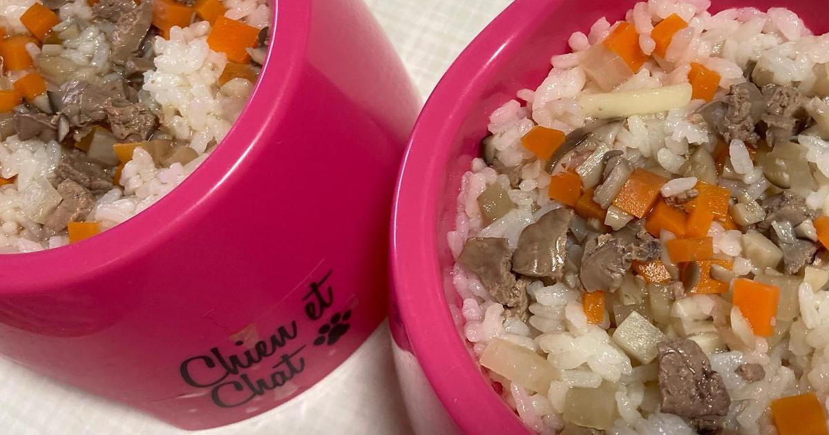 レバーをテーマにした犬の手作りご飯レシピ わんわんシェフ見習い中