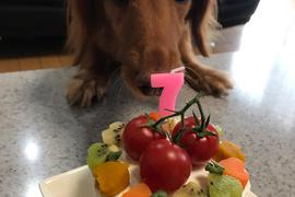 チョコ誕生日?ケーキです?野菜&果物&ヨーグルト&スポンジも焼きました❣️