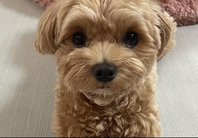 プロフィール写真
