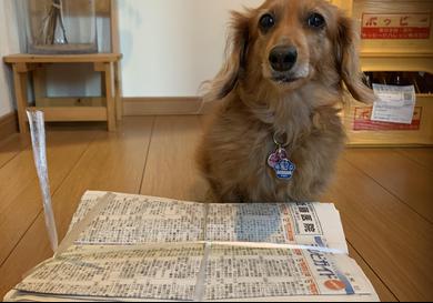 プロフィール写真