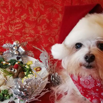 キラキラ魔法のクリスマスプレート