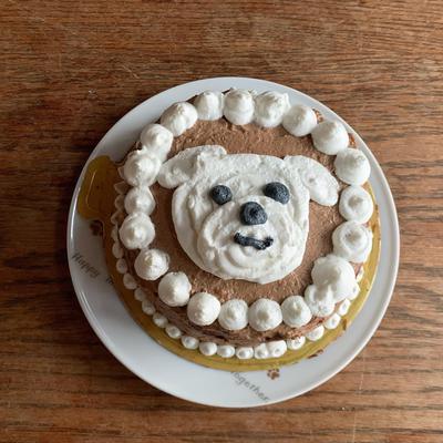 センイルケーキ風ドッグケーキ