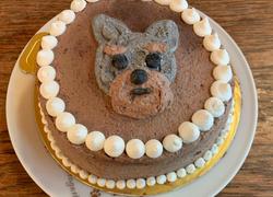 Senil cake style dog cake