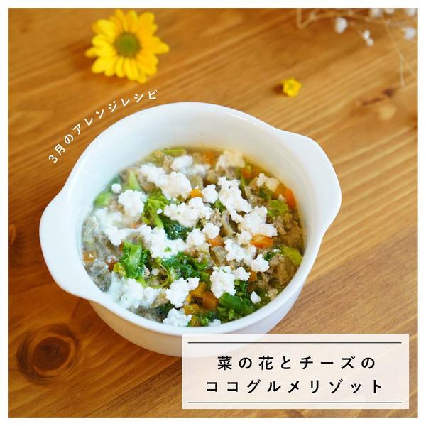 菜の花とチーズココグルメリゾット