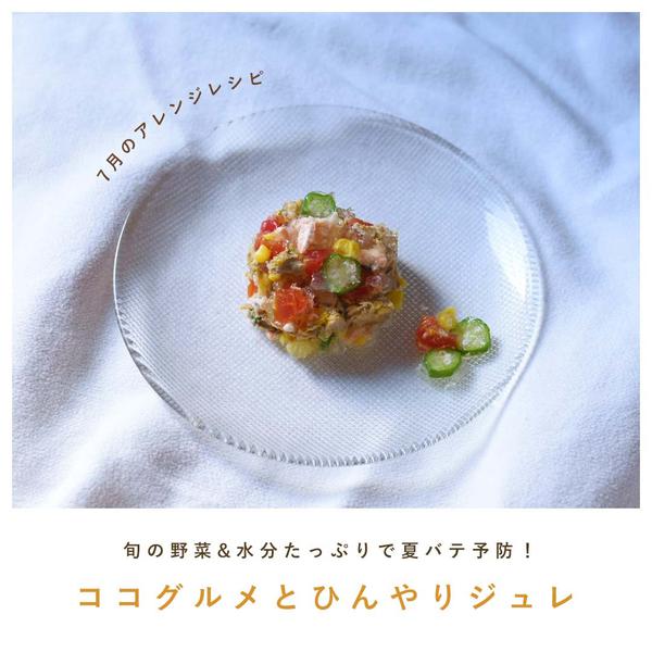 犬ご飯レシピ ココグルメとひんやりジュレ By手作りご飯ココグルメ No 2110 わんわんシェフ見習い中