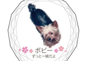 犬の写真１