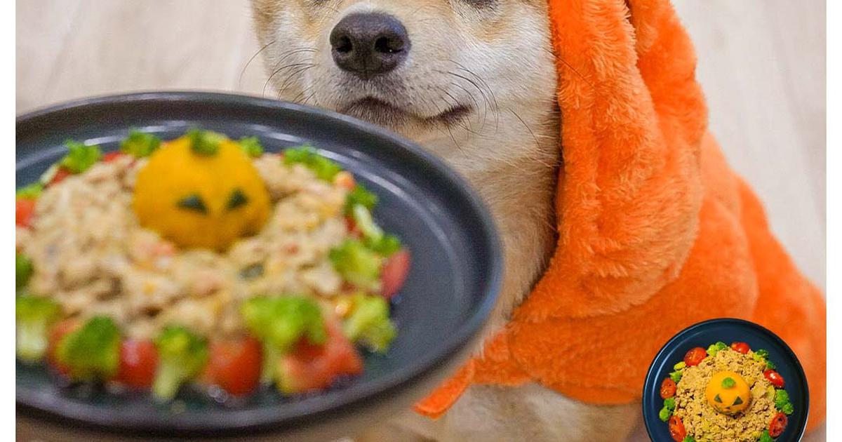 犬ご飯レシピ おばけかぼちゃ ココグルメプレート By手作りご飯ココグルメ No 2134 わんわんシェフ見習い中