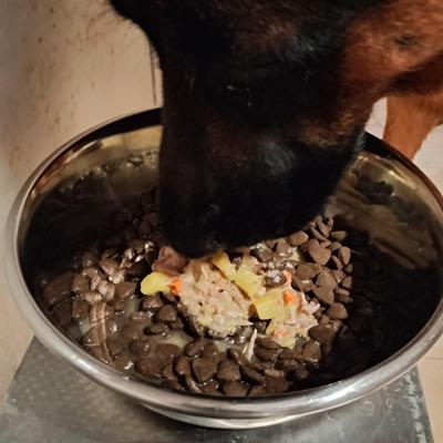 鶏頭と秋のほっこりサツマイモ