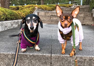 プロフィール写真