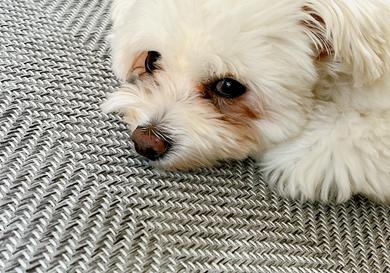 プロフィール写真