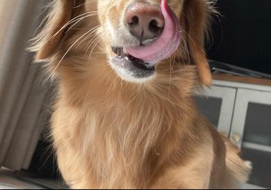 プロフィール写真
