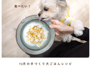 犬の手作りご飯レシピの専門サイト | わんわんシェフ見習い中